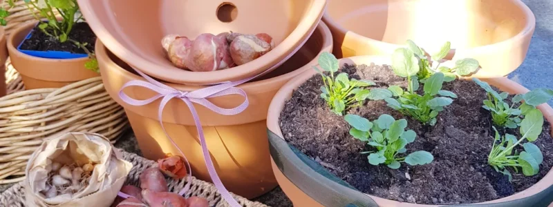 Creating A Spring Bulb Lasagna Pot